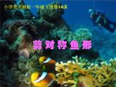 湘美版小學(xué)美術(shù)一下 14.剪對(duì)稱魚(yú)形 課件