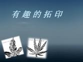 湘美版小學美術(shù)一下 9.有趣的拓印 課件