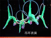 湘美版小學(xué)美術(shù)二下 13.雜技高手 課件