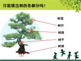 二年級(jí)下冊(cè)美術(shù)課件－9.樹(shù)上樹(shù)下（一）｜蘇少版