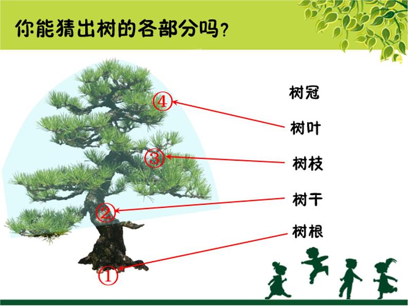 二年级下册美术课件－9.树上树下（一）｜苏少版第3页