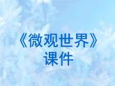 《微觀世界》課件03