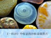 《微觀世界》課件03