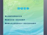 《千姿百態(tài)的帽子》課件1