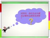 《會(huì)游的玩具》課件2