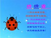 《動物的花衣裳》課件2