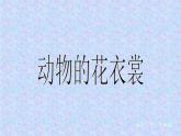 《動物的花衣裳》課件