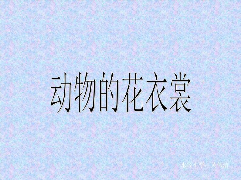 《动物的花衣裳》课件第1页