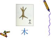 《汉字中的象形文字》课件1