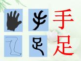《汉字中的象形文字》课件3