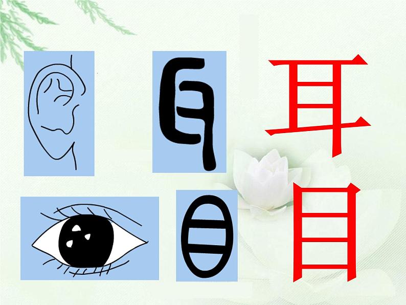 《汉字中的象形文字》课件306