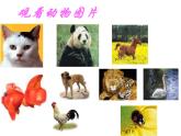 《彩泥世界快樂多》課件1