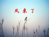 《风来了》课件2