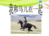 《我和馬兒在一起》課件2