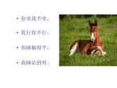 《我和馬兒在一起》課件1