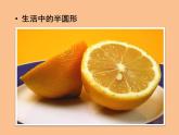 《有趣的半圓形》課件4