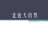 《走近大自然》課件4
