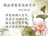 赣美版三下 5.荷花美 课件