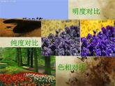 冀美版五下美術(shù) 1.色彩的對(duì)比 課件