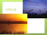冀美版五下美術(shù) 1.色彩的對(duì)比  課件
