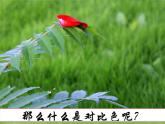 冀美版五下美術(shù) 1.色彩的對(duì)比  課件