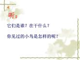一年級下冊美術(shù)課件－5.快樂的小鳥｜嶺南版