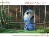 一年級下冊美術(shù)課件－5.快樂的小鳥｜嶺南版