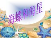 一年级下册美术课件－9.海螺和海星｜岭南版