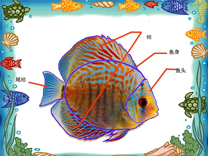 一年级下册美术课件－7.大鱼和小鱼｜岭南版第4页