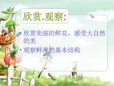 二年級下冊美術(shù)課件－5.美麗的花園｜嶺南版
