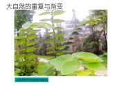 嶺南版五年級下冊美術(shù) 11.重復(fù)與漸變 課件