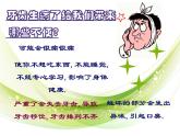 岭南版六年级下册美术 6.我们的“爱牙日” 课件