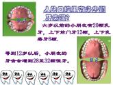 岭南版六年级下册美术 6.我们的“爱牙日” 课件