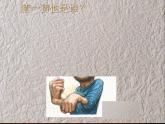 嶺南版六年級下冊美術(shù) 7.名人漫畫 課件
