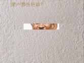 嶺南版六年級下冊美術(shù) 7.名人漫畫 課件