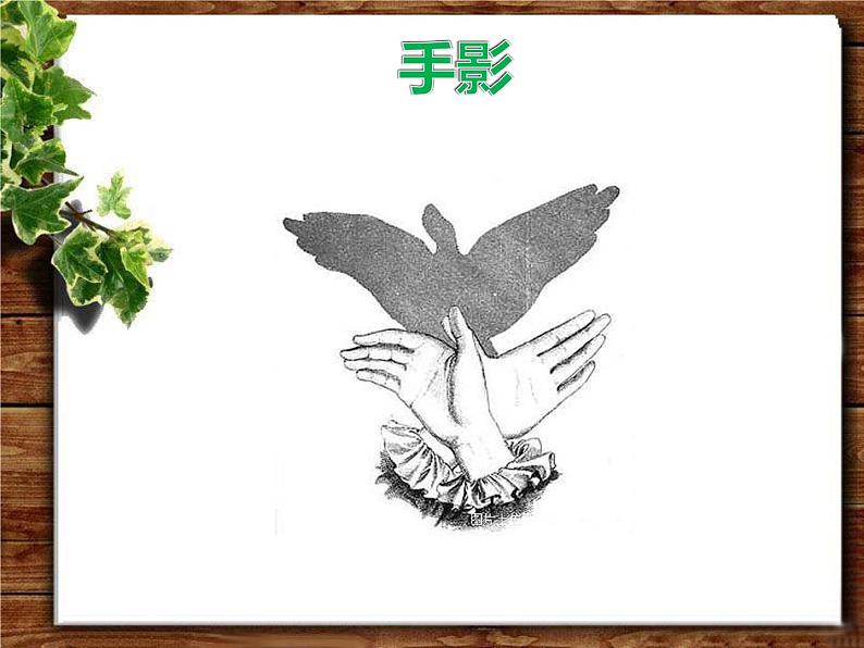 《影子的游戏》课件3第6页