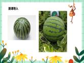第5課《誘人的瓜果》課件PPT+教案