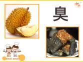 蘇少版一年級下冊美術(shù) 16.畫味覺、畫嗅覺  課件