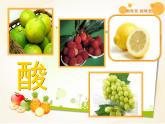 蘇少版一年級下冊美術(shù) 16.畫味覺、畫嗅覺  課件