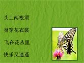 二年級下冊美術(shù)課件－14.蟲蟲蟲（一）｜蘇少版