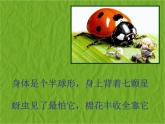 二年級下冊美術(shù)課件－14.蟲蟲蟲（一）｜蘇少版