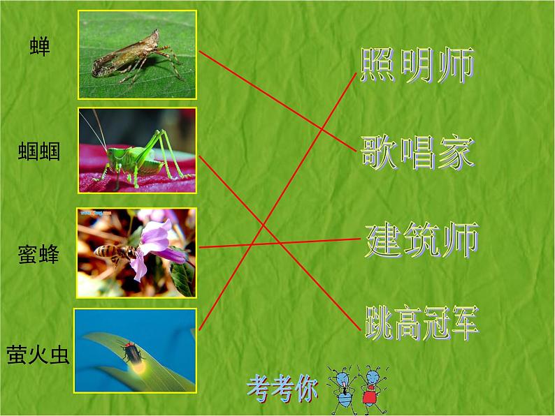 二年级下册美术课件－14.虫虫虫（一）｜苏少版第5页