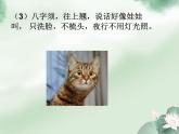 二年級(jí)下冊(cè)美術(shù)課件－4.動(dòng)物朋友（一）｜蘇少版