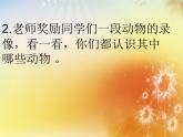 二年級(jí)下冊(cè)美術(shù)課件－4.動(dòng)物朋友（一）｜蘇少版