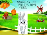 湘美版小学美术二下 4.动物聚会 课件