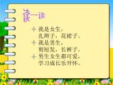 湘美版小學美術二下 14.男生女生 課件
