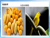 第七課《黃色和藍(lán)色的畫(huà)》課件+教案