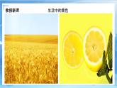第七課《黃色和藍(lán)色的畫(huà)》課件+教案