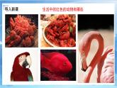 第六課《紅色的畫》課件+教案