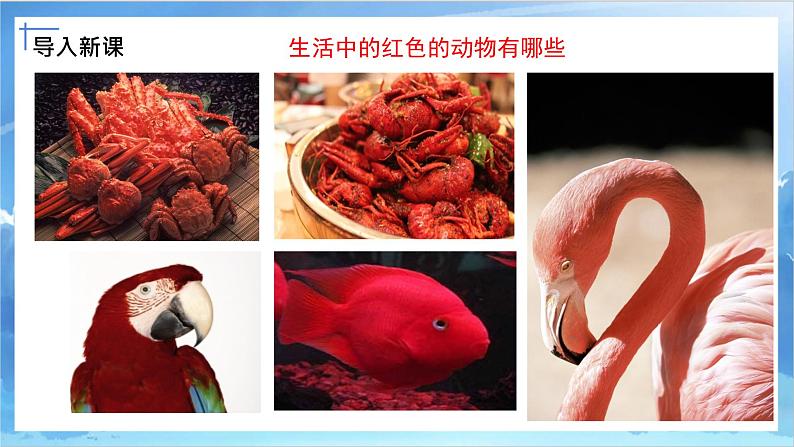 第六课《红色的画》课件+教案03